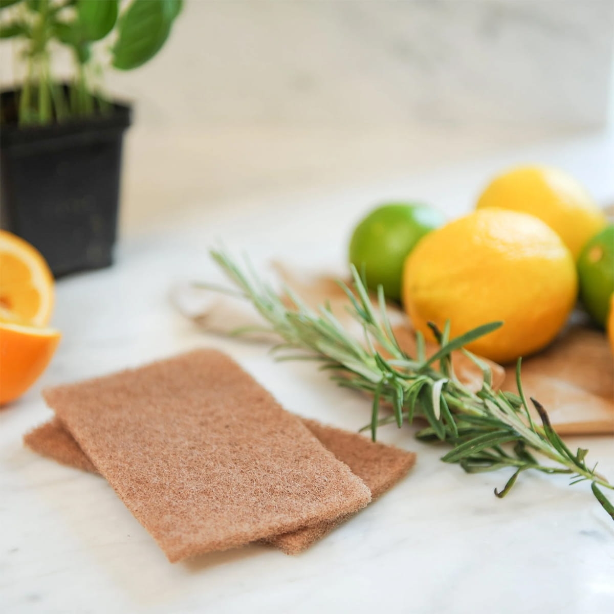 Naturalna gąbka kokosowa FC13213 w bakeshop.pl