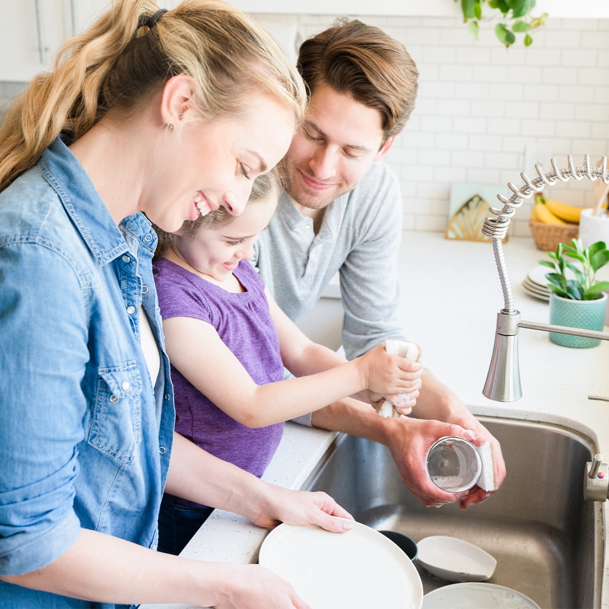 EKO gąbka do mycia naczyń FC11208 w bakeshop.pl