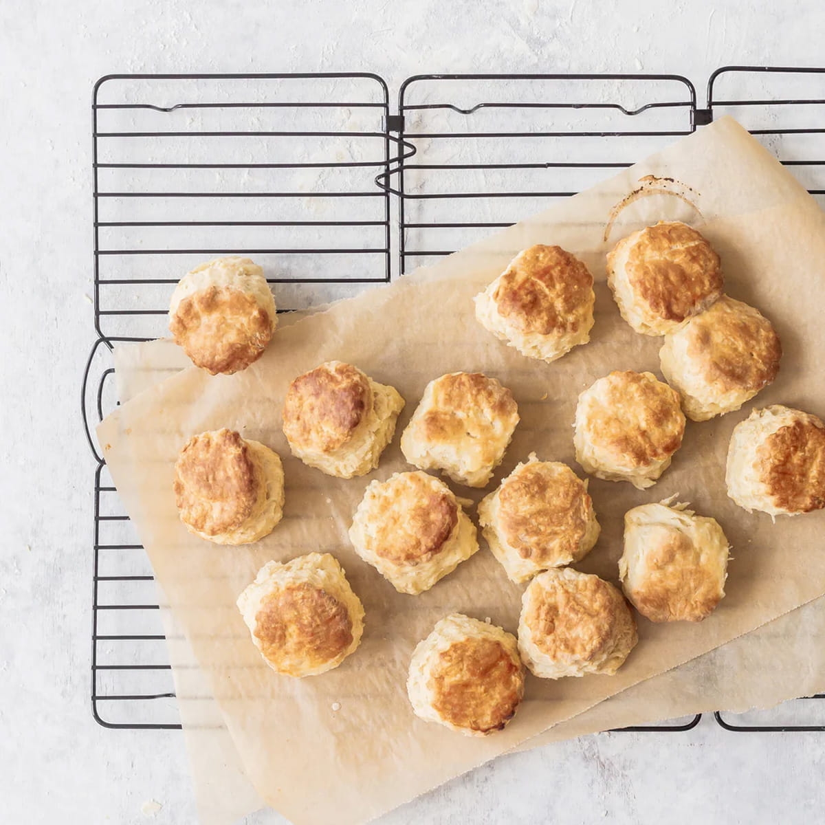 Składanka kratka do studzenia ciasta Tala 10A11221