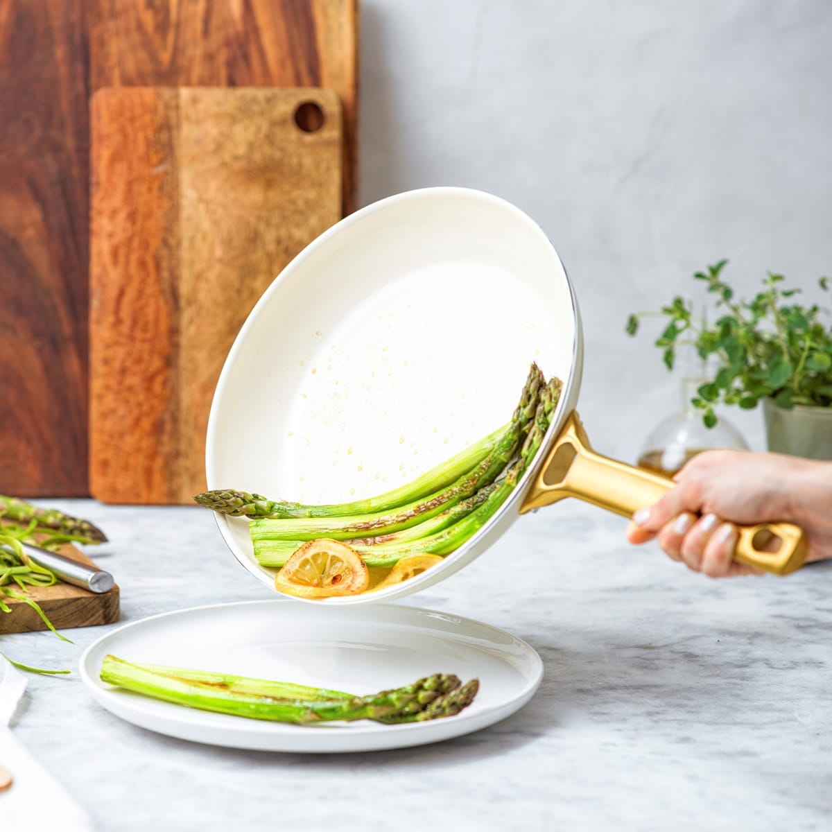 Patelnie Padova od GreenPan z powłoką non-stick CC008495-001 zobacz na bakeshop.pl