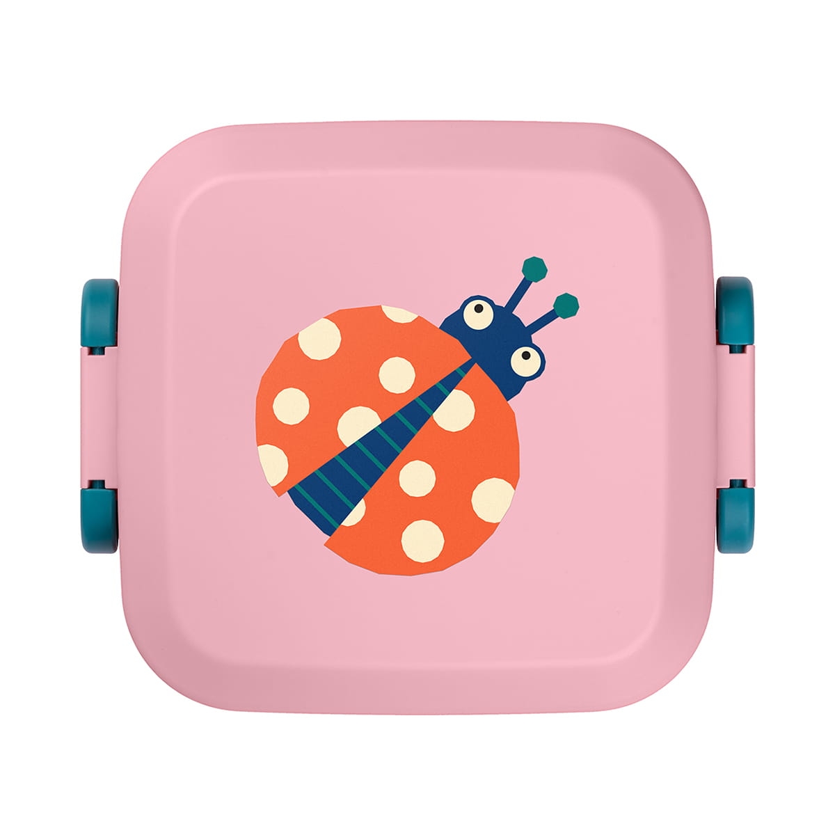 Śniadaniówka do szkoły lub przedszkola. Wygodny lunchbox z przegródką i pojemnikami Amuse Rikko. Biedronka