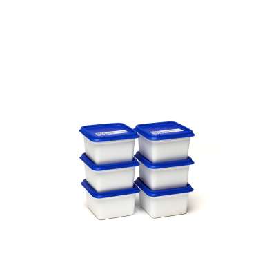 Pojemniki do zamrażarki Alaska 6x200ml / Amuse