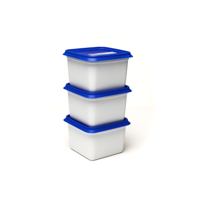 Pojemniki do zamrażarki Alaska 3x750ml / Amuse