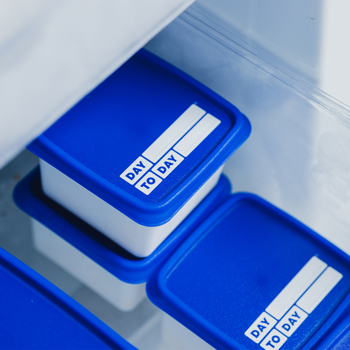 Pojemniki do zamrażarki Alaska 3x1.2L  Amuse DAY005