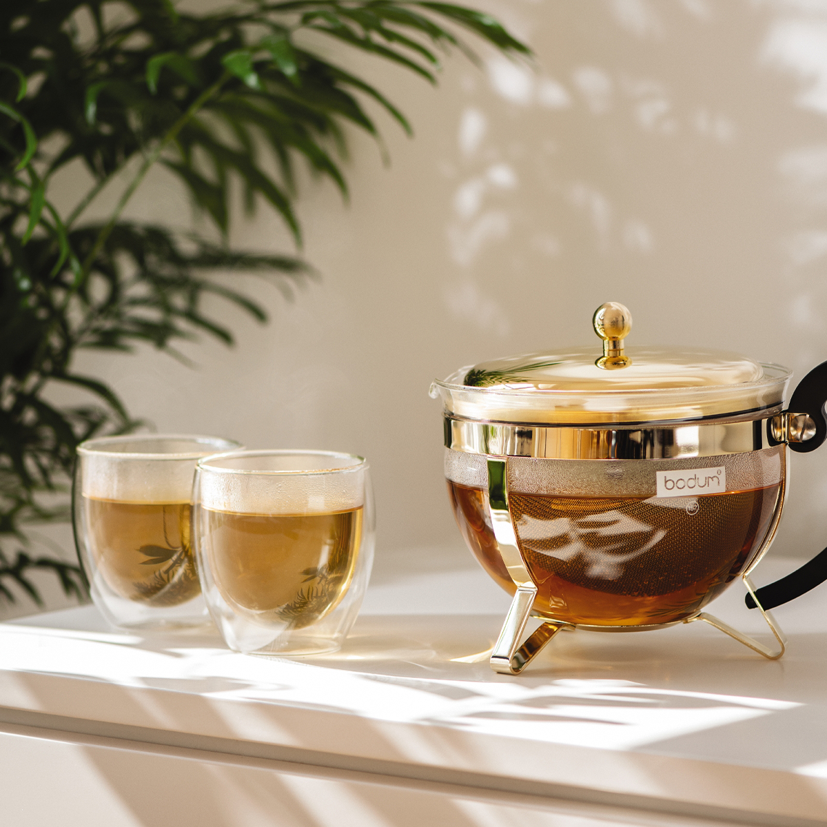 Pavina - nowoczesny transparentny design