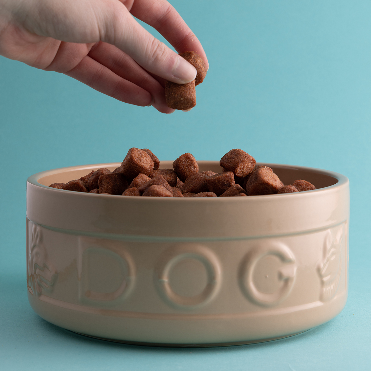 Ceramiczna miska dla pupila z tłoczonym napisem DOG