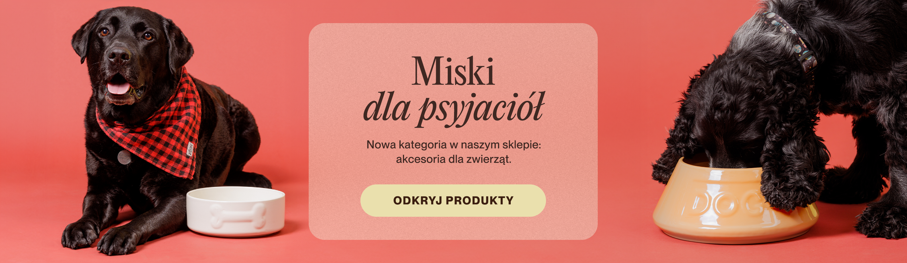 Dla zwierzat BakeShop.pl